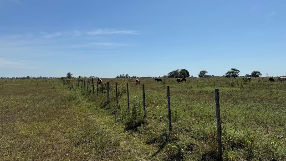 35,4 Ha 3 Km del Asfalto, Ranchos, General Paz. 5