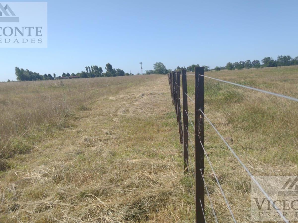 Campo 4,5 Has, Estancia Benquerencia San Miguel del Monte, Buenos Aires. 1