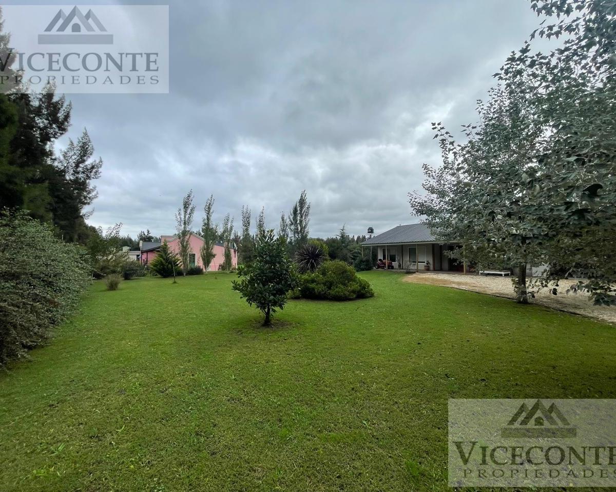 Casaquinta 3600 m², Barrio Malvinas II, Brandsen, Provincia de Buenos Aires. 4