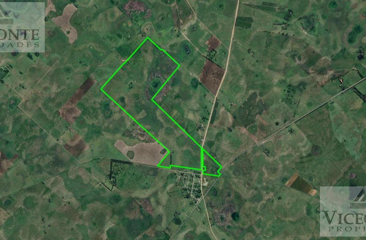 Foto de Campo 450 has, Gobernador Udaondo, partido de Cañuelas, Buenos Aires., imagen 2
