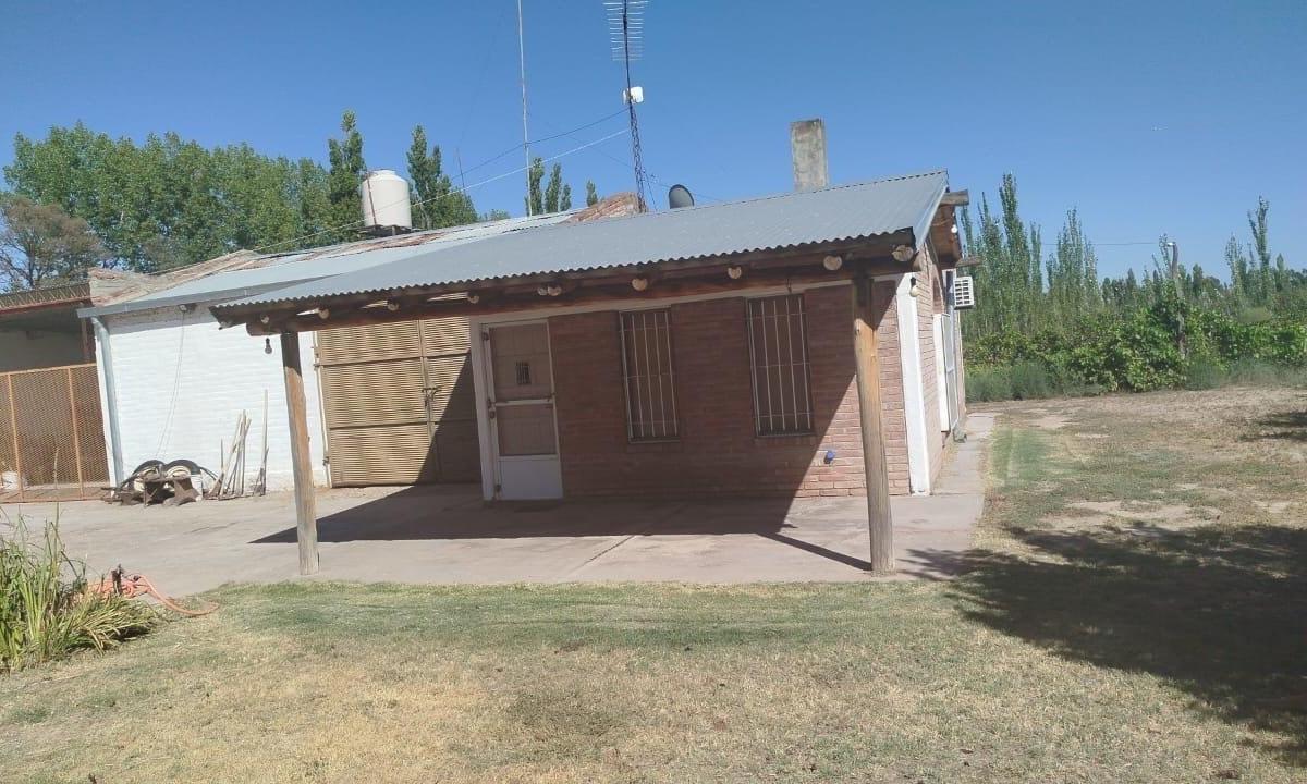 Finca de 23 Ha Colonia Española, San Rafael, Provincia de Mendoza. 3