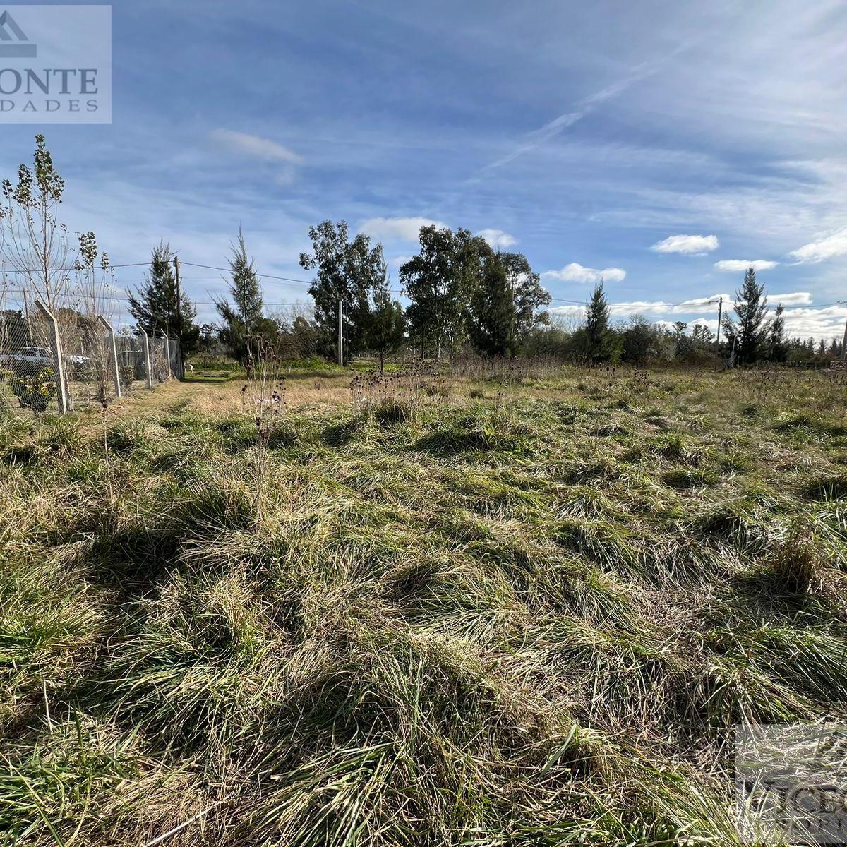 Lote 1000 m² Calle Alem, Brandsen, Provincia de Buenos Aires. 2