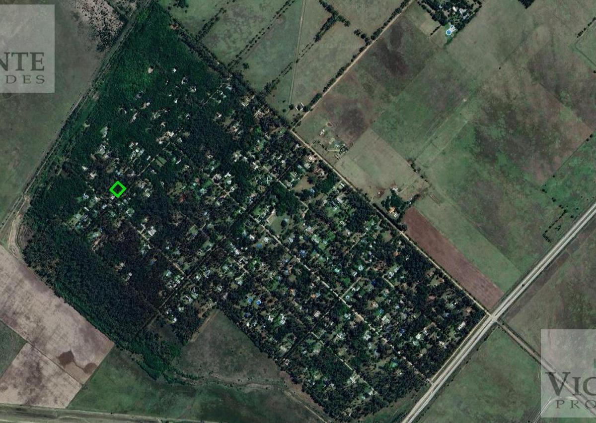 Lote 1560 m², Barrio "Los Bosquecitos" Brandsen, Provincia de Buenos Aires. 4
