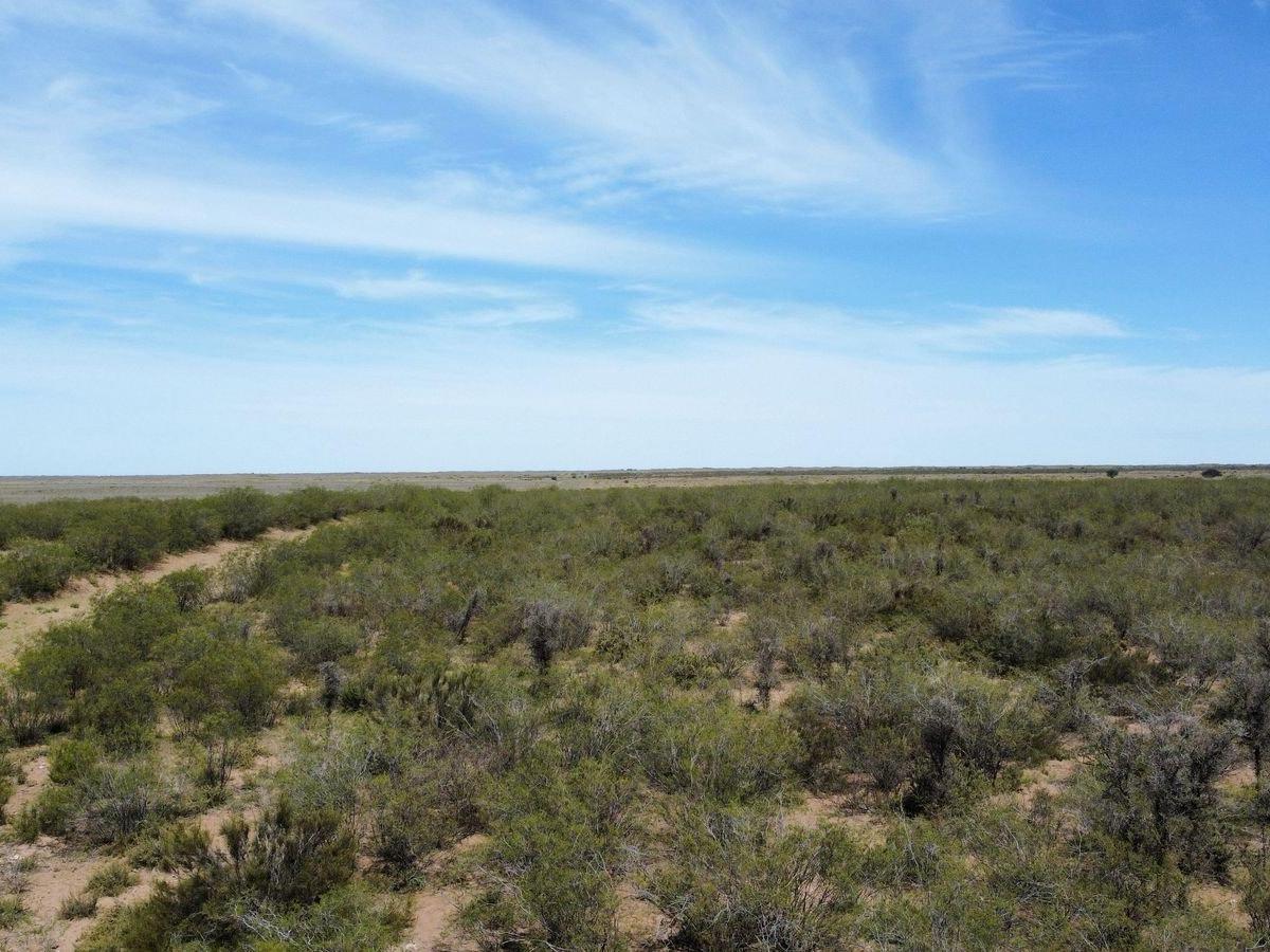 Campo de 5.000 Has. Limay Mahuida, Provincia de La Pampa.