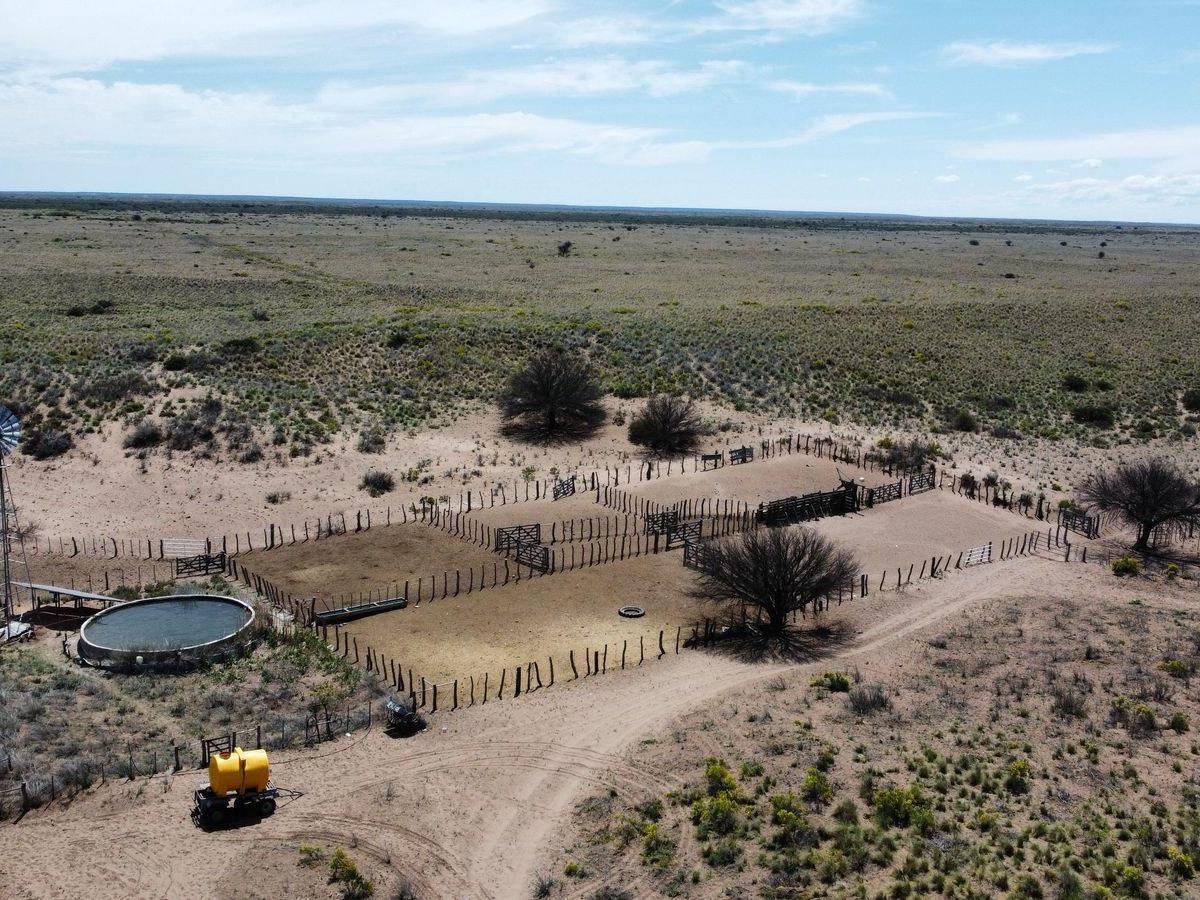 Foto de Campo de 5.000 Has. Limay Mahuida, Provincia de La Pampa., imagen 4