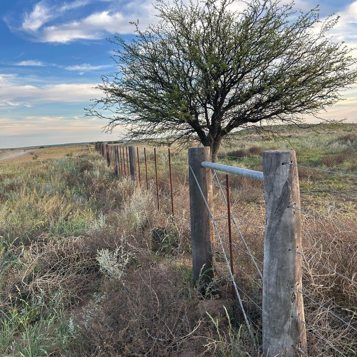 Foto de Campo de 5.000 Has. Limay Mahuida, Provincia de La Pampa., imagen 3