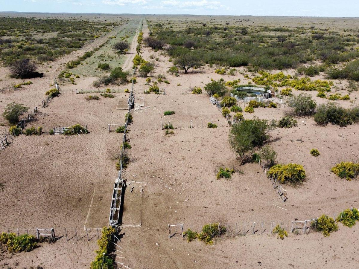 Foto de Campo de 5.000 Has. Limay Mahuida, Provincia de La Pampa., imagen 2