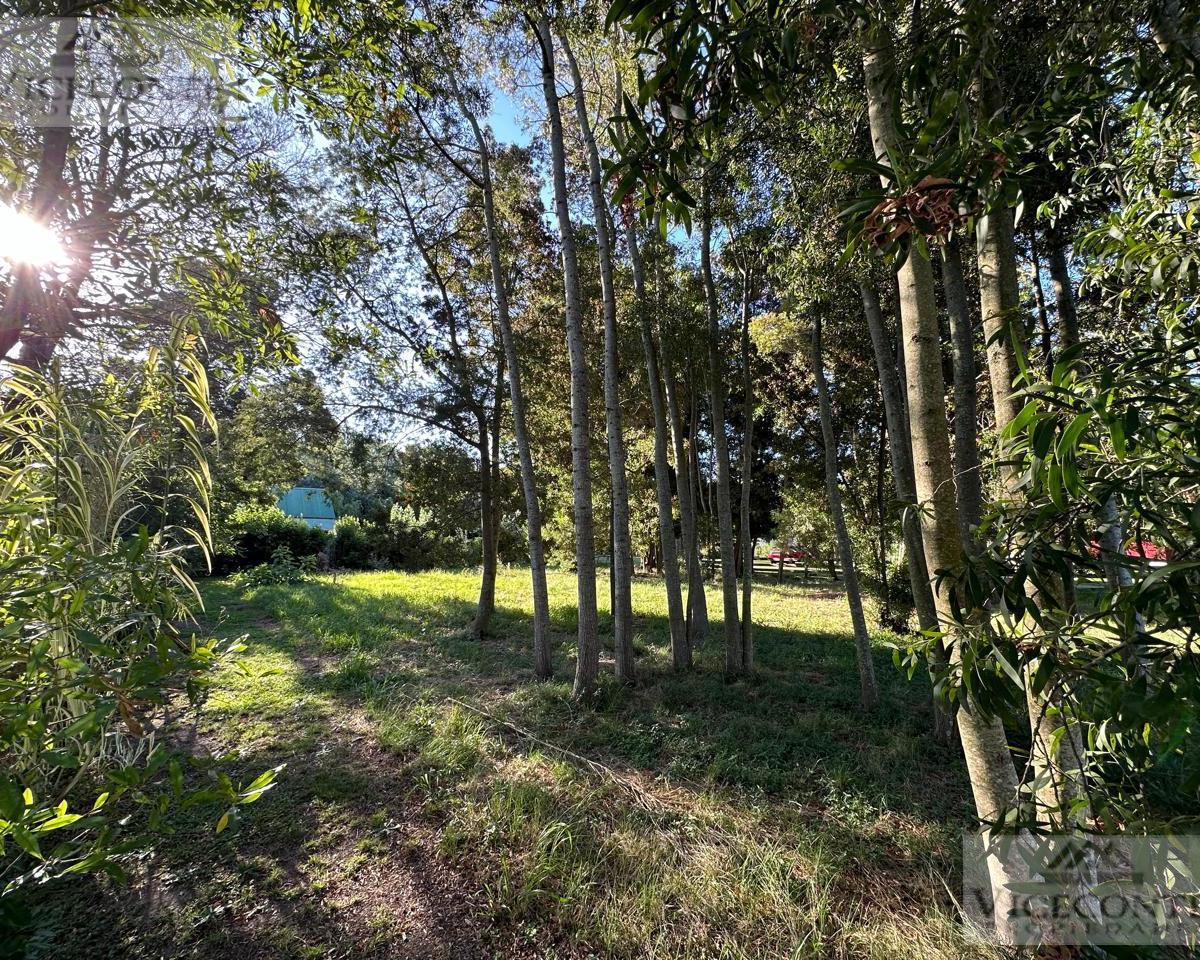 LOTE 892 MTS, BARRIO PARQUE GIRADO, CHASCOMUS, BUENOS AIRES
