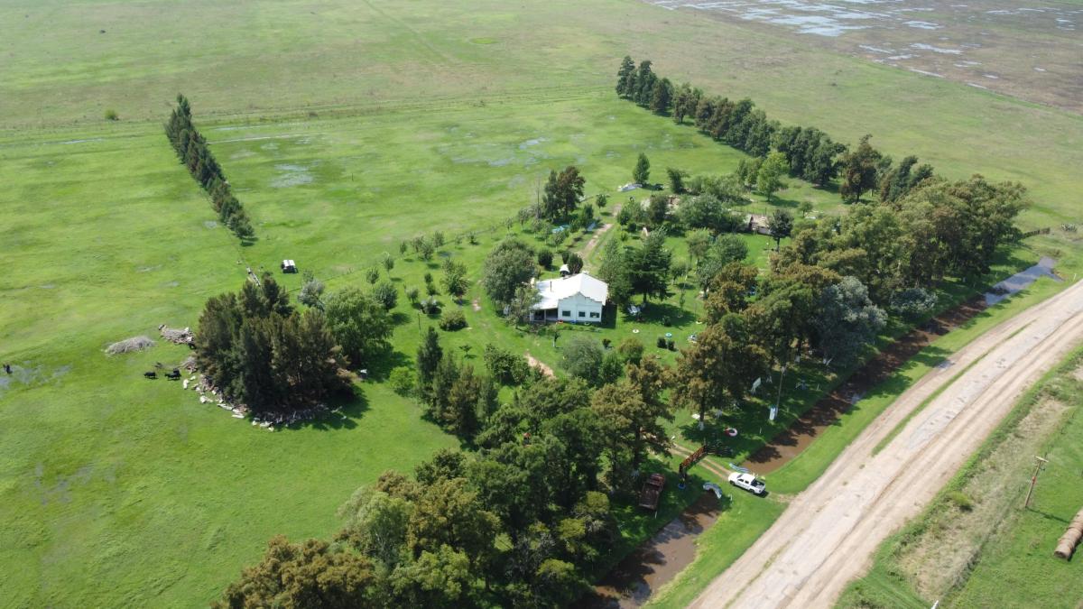 Campo 15 Ha Ranchos, General Paz. Buenos Aires. 3