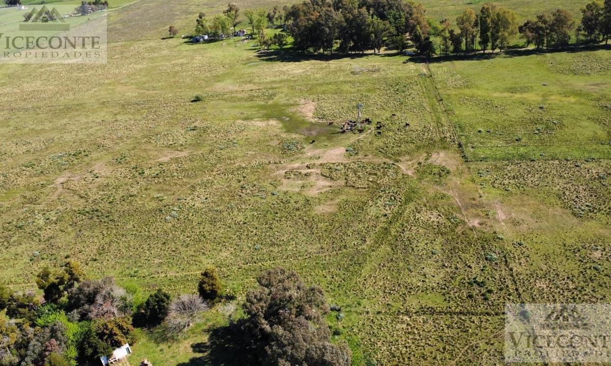 Campo 15 Has Brandsen, Provincia de Buenos Aires. 3