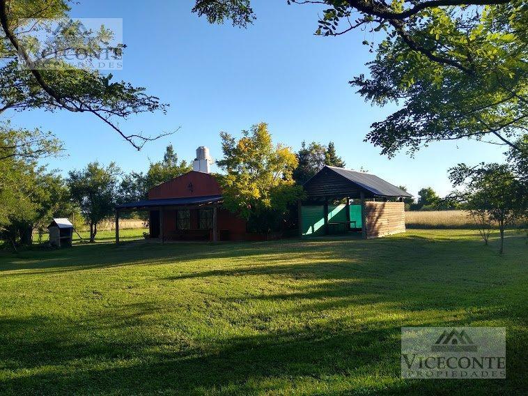 Campo 4,2 Ha Brandsen. Buenos Aires. 1