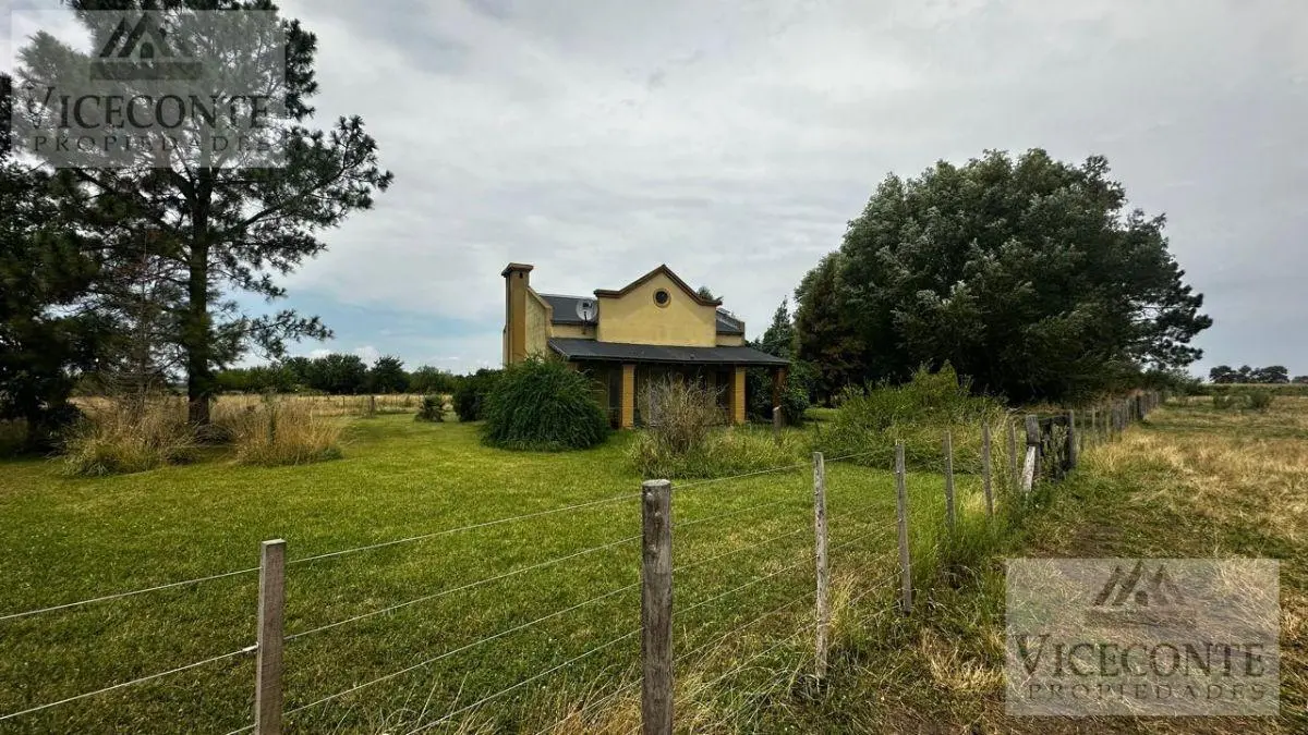 Campo Agrícola Ganadero 23 Has. Ruta 20, Chascomús. Buenos Aires 2