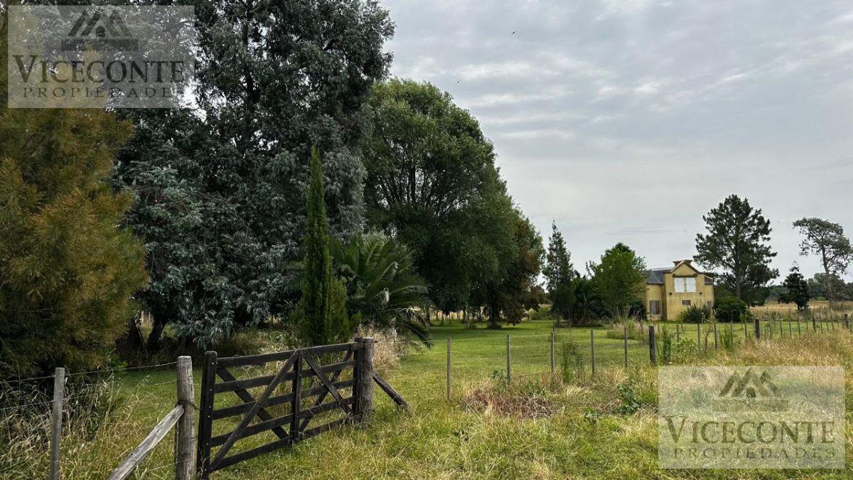 Campo Agrícola Ganadero 23 Has. Ruta 20, Chascomús. Buenos Aires