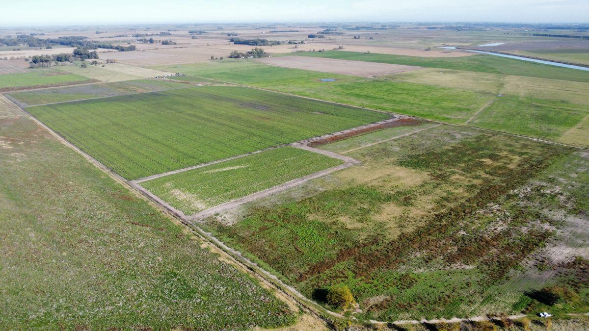 Campo Agrícola 57 Has. General Belgrano, Provincia de Buenos Aires.