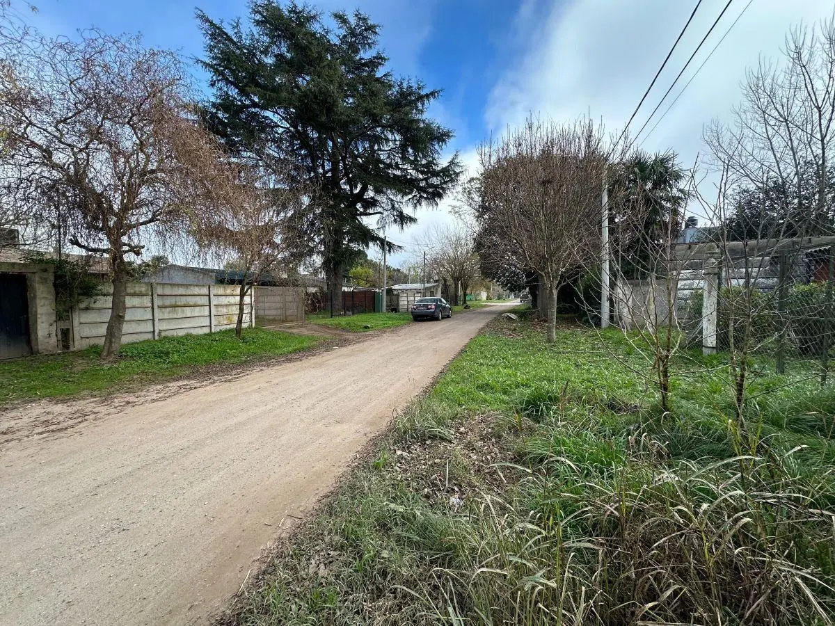 Lote 300 m2, Calle 54, Barrio Parque, General Belgrano, Provincia de Buenos Aires. 5