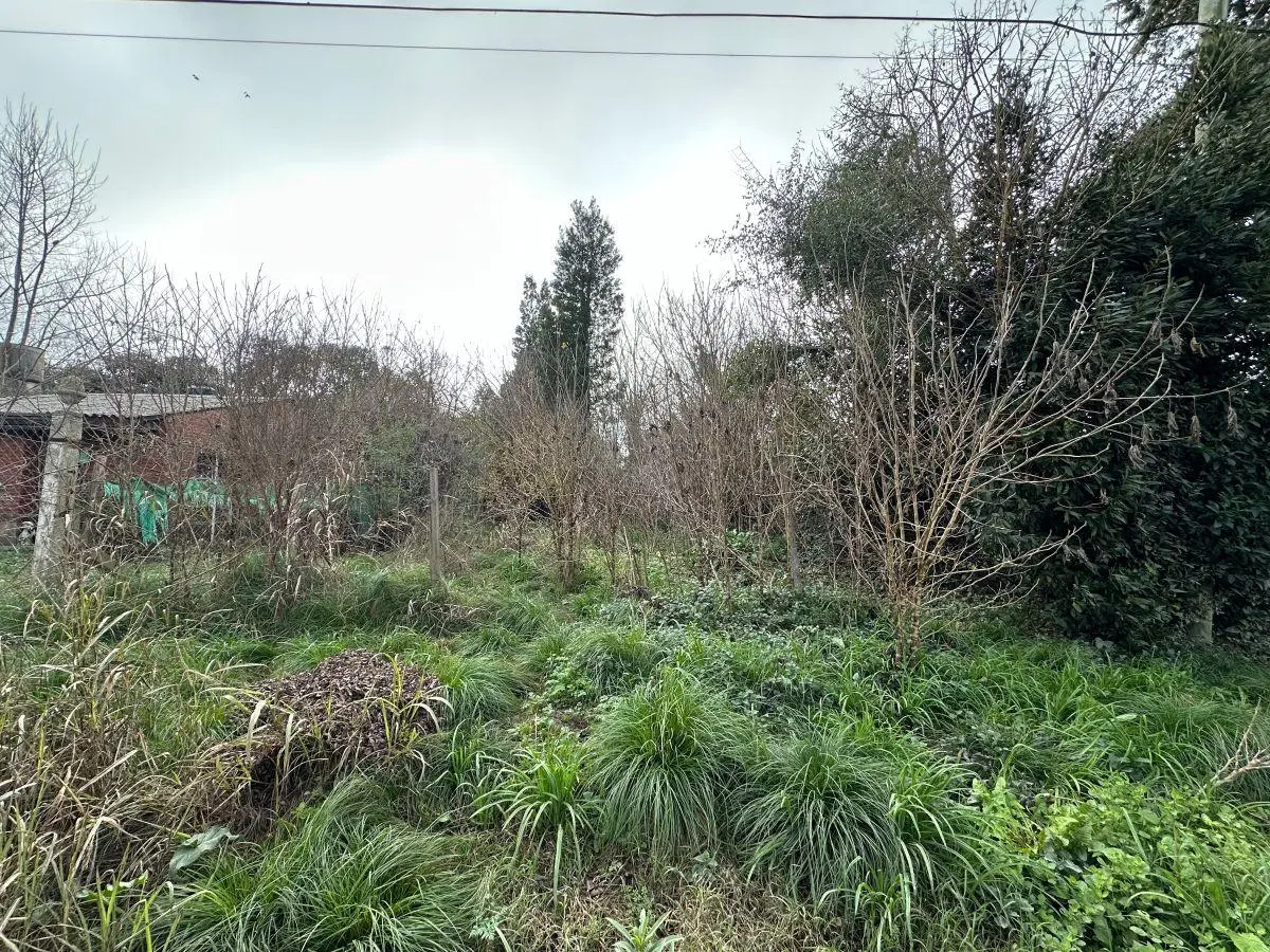 Lote 300 m2, Calle 54, Barrio Parque, General Belgrano, Provincia de Buenos Aires. 3