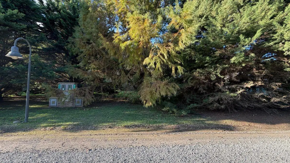 Lote de 800 M2 Dentro del Country Altos De Brandsen, Buenos Aires. 5