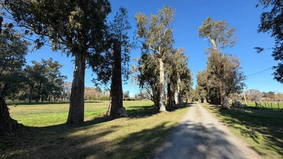 Lote de 1582 M2 En Estancia Malvinas, Coronel Brandsen Buenos Aires. 3