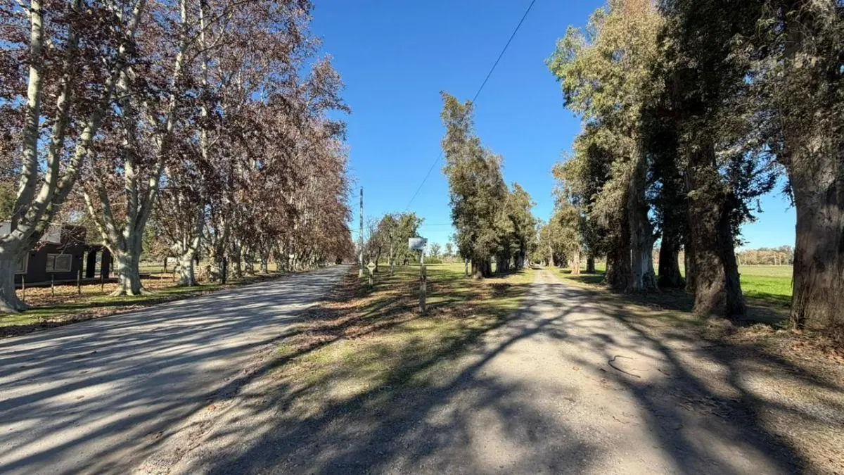 Lote de 1582 M2 En Estancia Malvinas, Coronel Brandsen Buenos Aires. 2