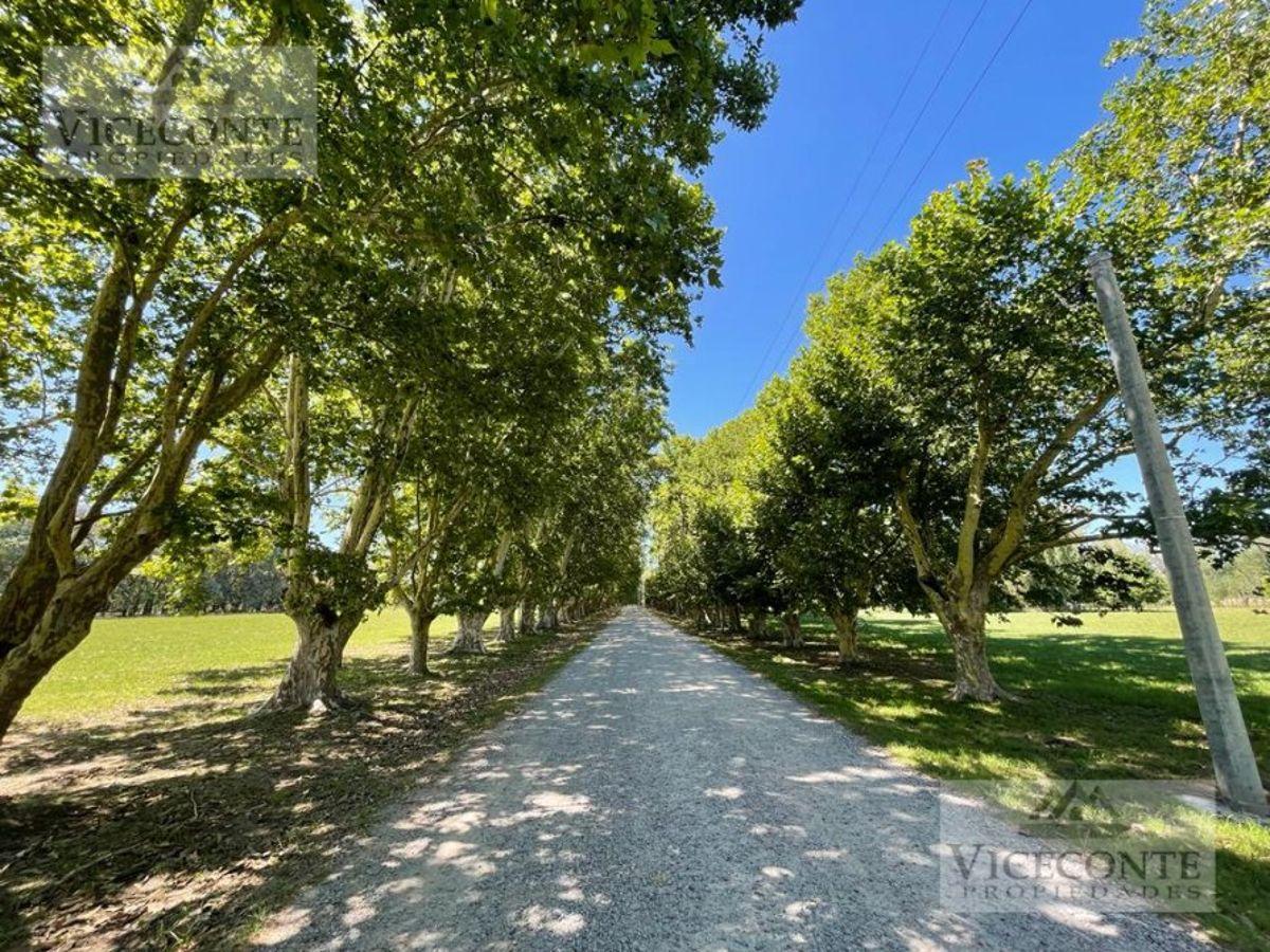 Foto de Lote de 1582 M2 En Estancia Malvinas, Coronel Brandsen Buenos Aires., imagen 4
