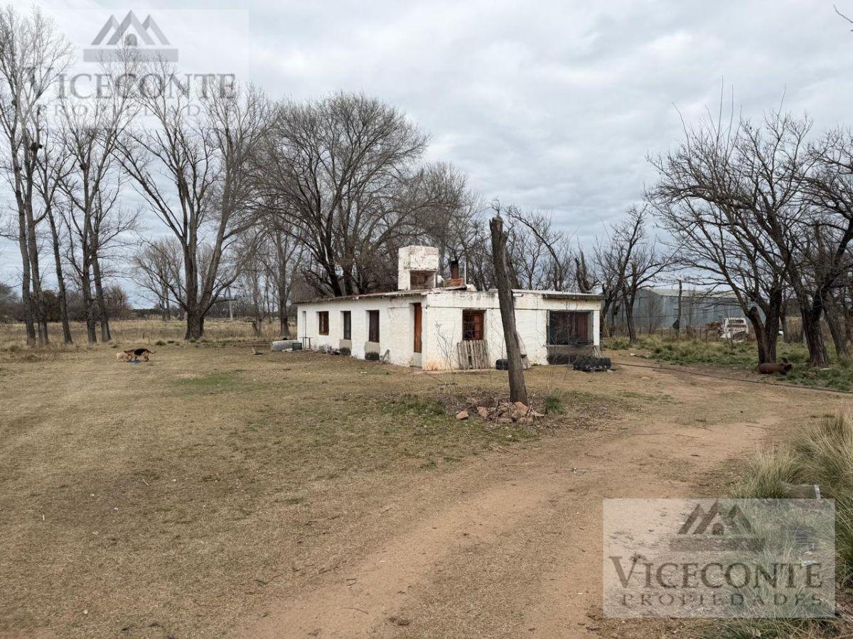 Foto de Excelente Campo mixto de 350 Has. Panaholma, San Alberto, Provincia de, imagen 3