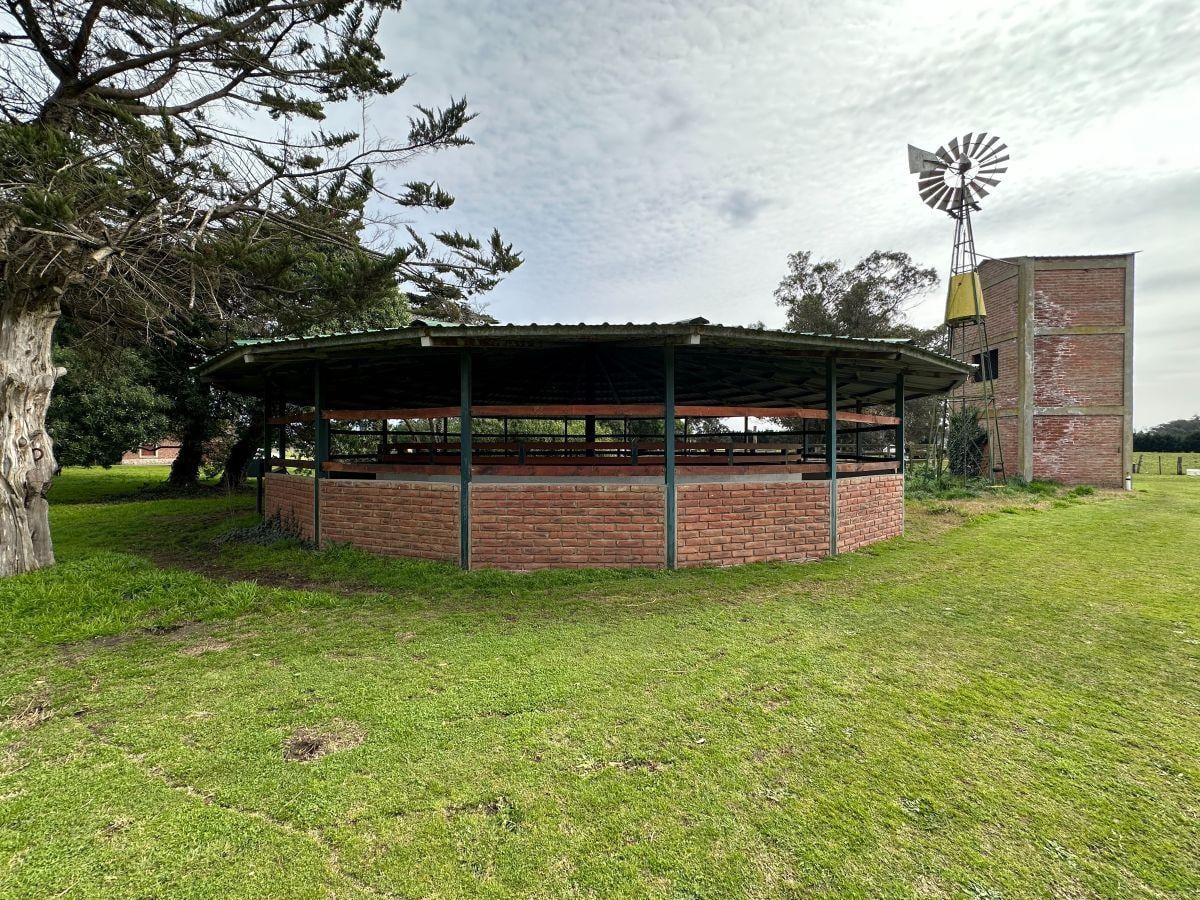 Haras 20 Has. Camet, Partido de Gral Pueyrredón, Provincia de Buenos Aires.