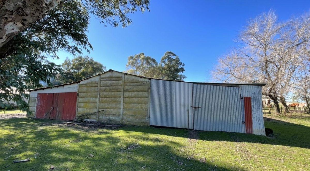 Foto de Campo 297 Has. Udaquiola, Provincia de Buenos Aires., imagen 3