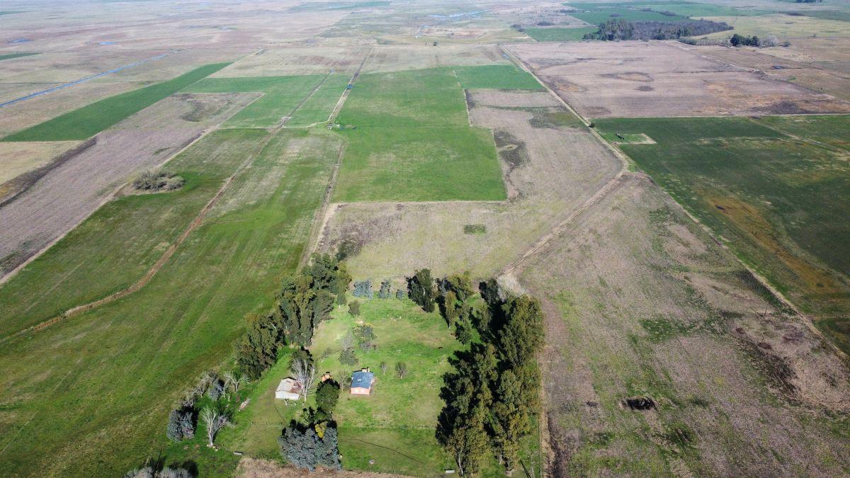 Foto de Campo Mixto 118 Has. Gral Alvear, Provincia de Buenos Aires., imagen 1