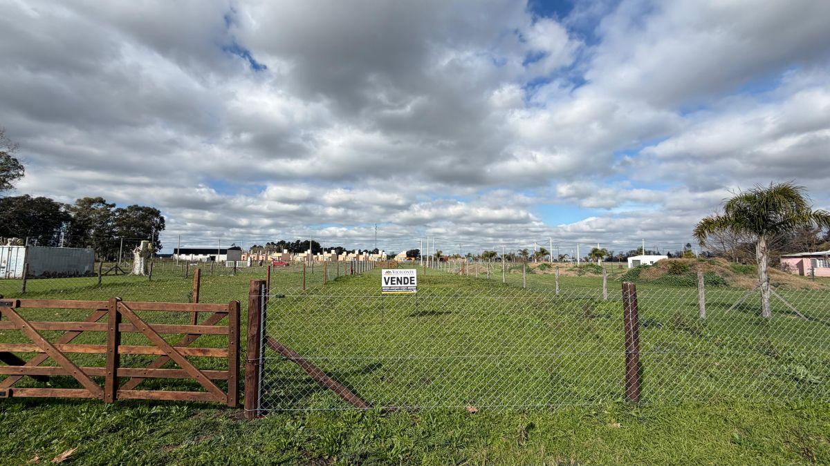 Foto de Lote de 395 m2, calle Jorge Pla, Loma Verde, partido de General Paz., imagen 3