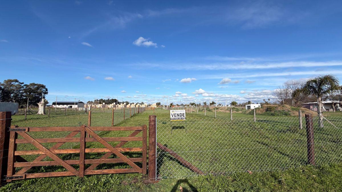Foto de Lote de 395 m2, calle Jorge Pla, Loma Verde, partido de General Paz., imagen 4