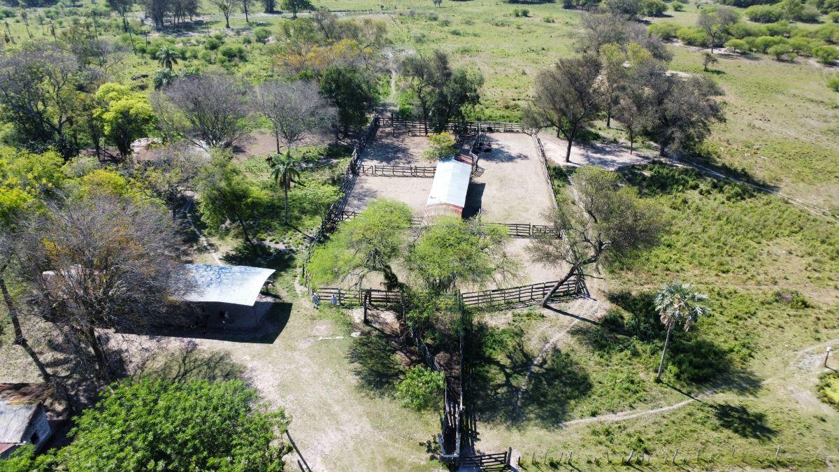 Foto de Campo Ganadero 791 Has. Provincia de Formosa, imagen 1