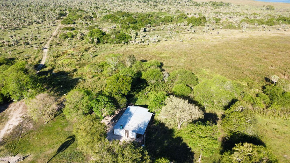 Foto de Campo Ganadero 100 Has. Provincia de Formosa., imagen 4