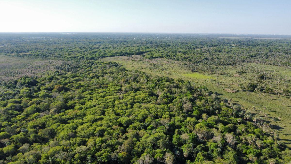 Foto de Campo Ganadero 100 Has. Provincia de Formosa., imagen 5