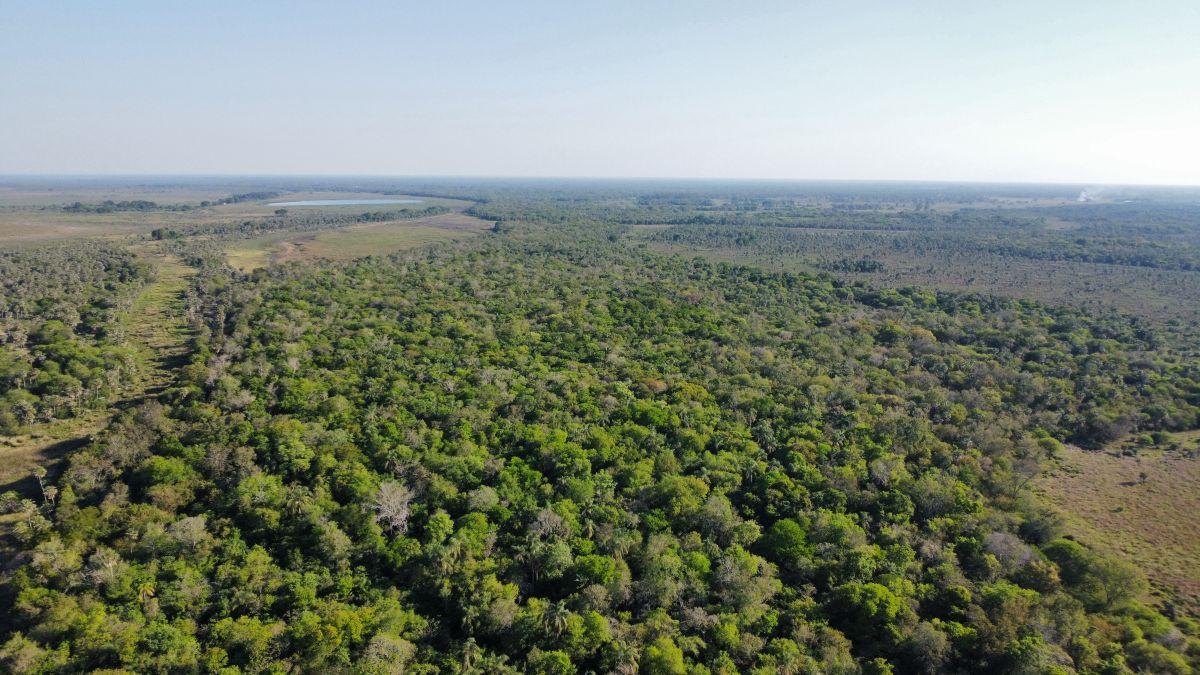 Foto de Campo Ganadero 100 Has. Provincia de Formosa., imagen 1