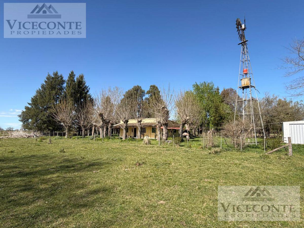 Foto de Campo Ganadero 75, 5 has. Paraje Giribone Chascomús, Provincia de, imagen 1