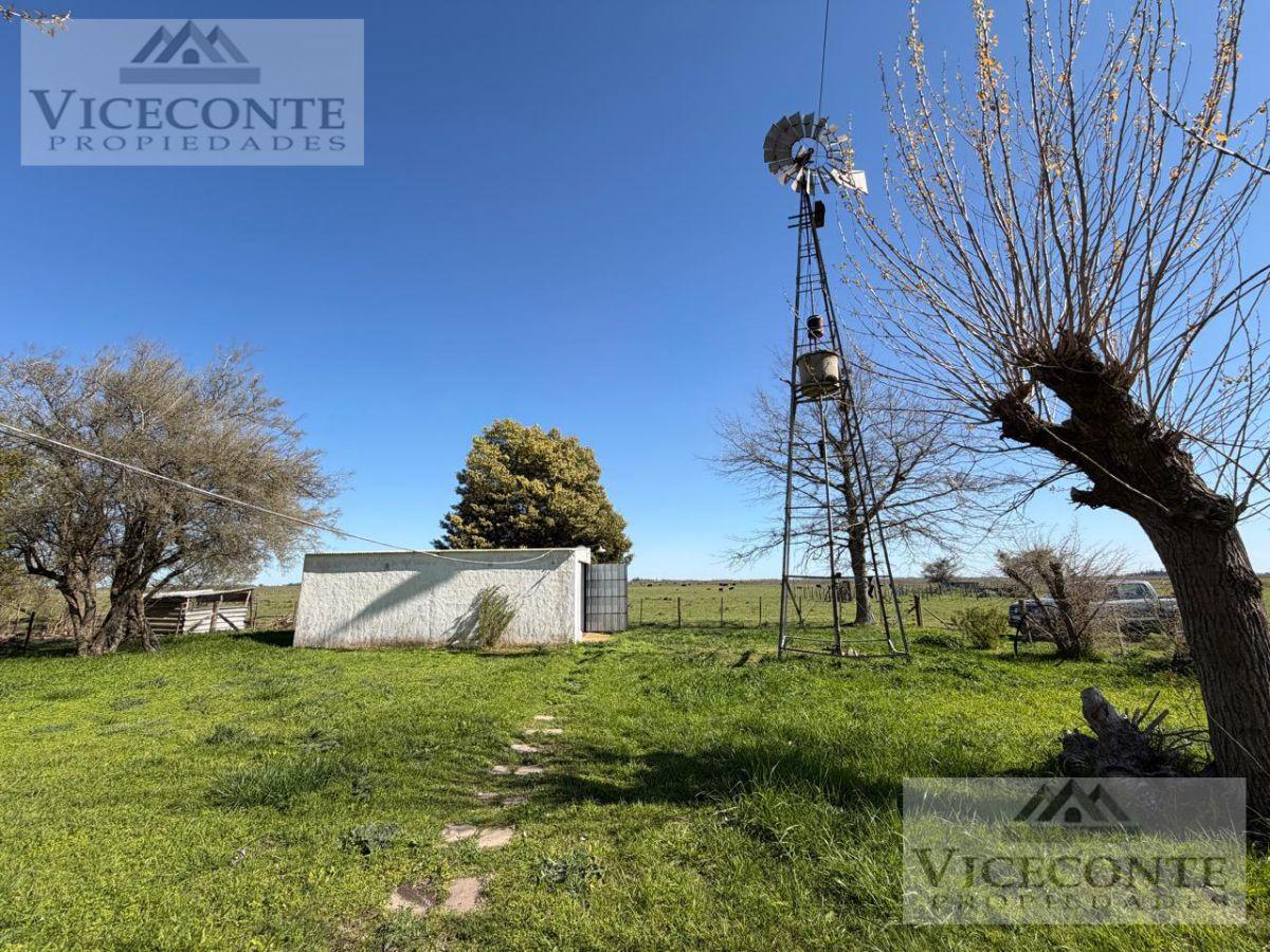 Foto de Campo Ganadero 75, 5 has. Paraje Giribone Chascomús, Provincia de, imagen 3