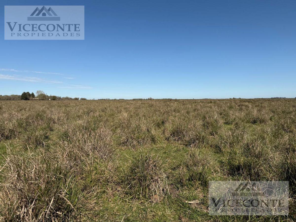 Foto de Campo Ganadero 75, 5 has. Paraje Giribone Chascomús, Provincia de, imagen 5