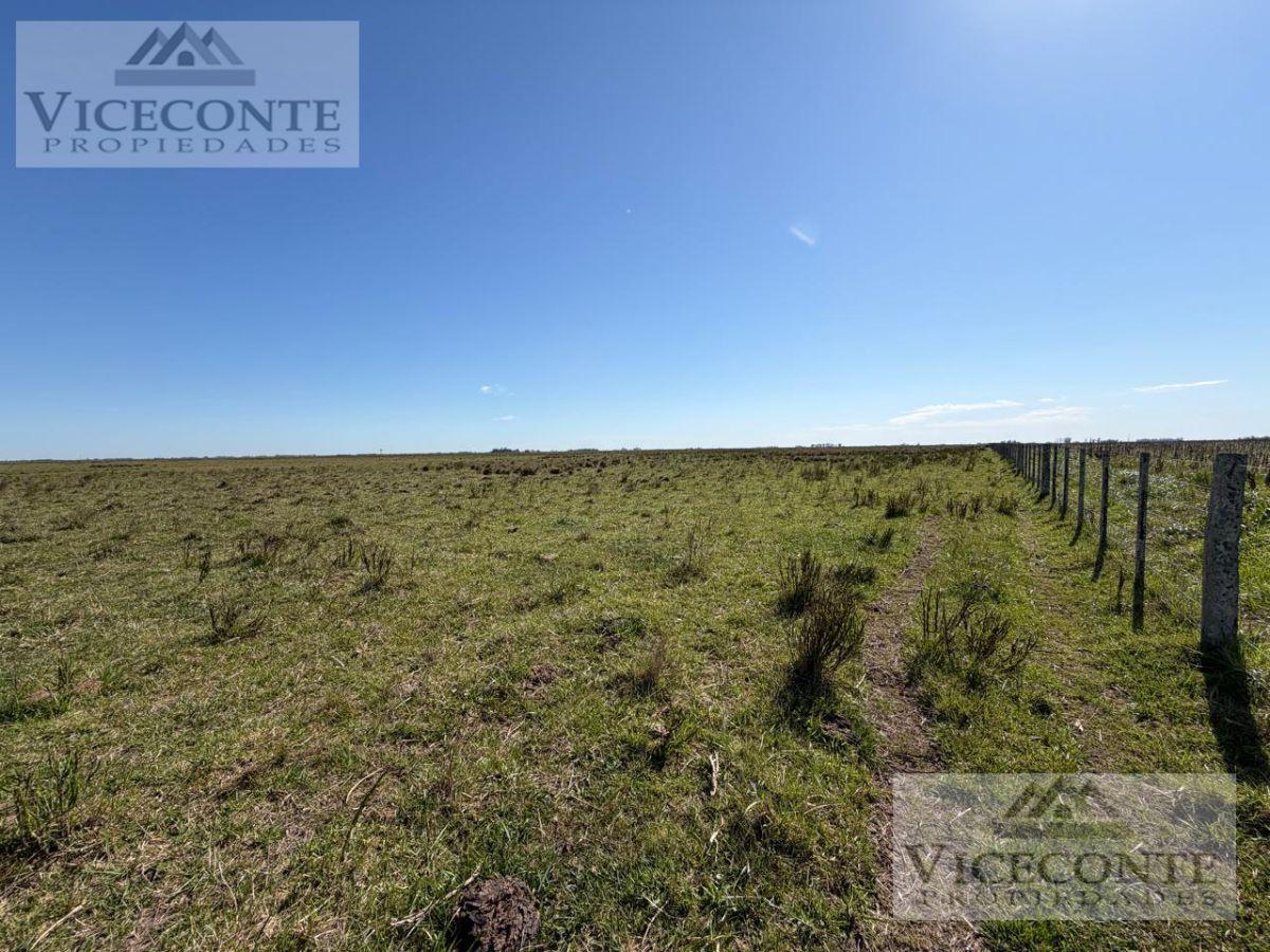 Foto de Campo Ganadero 75, 5 has. Paraje Giribone Chascomús, Provincia de, imagen 2