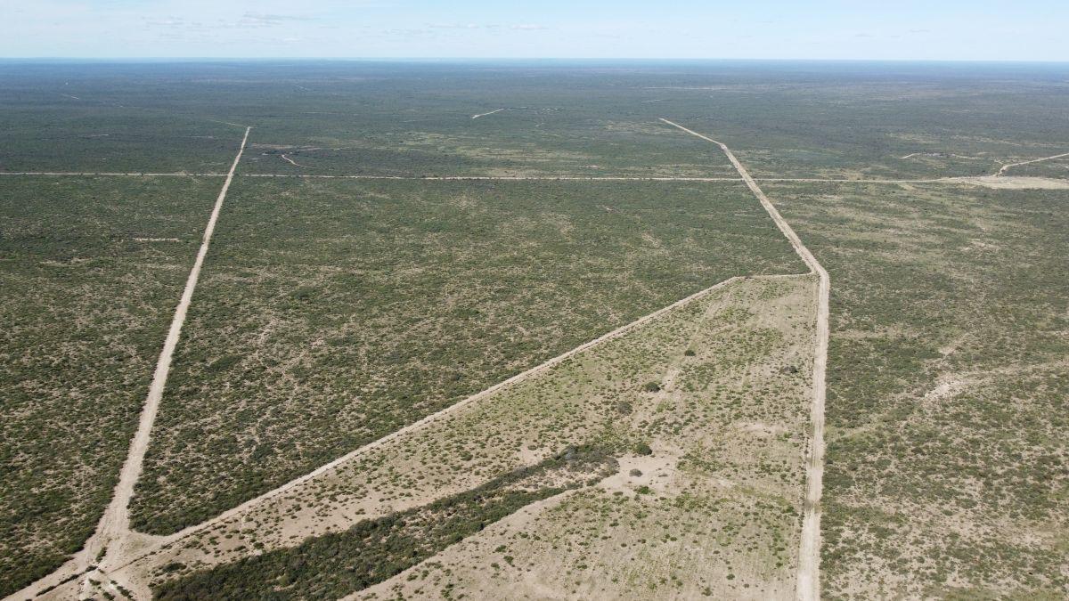 Foto de Campo 5.000 Has. Cuchillo Có, Provincia de La Pampa., imagen 4