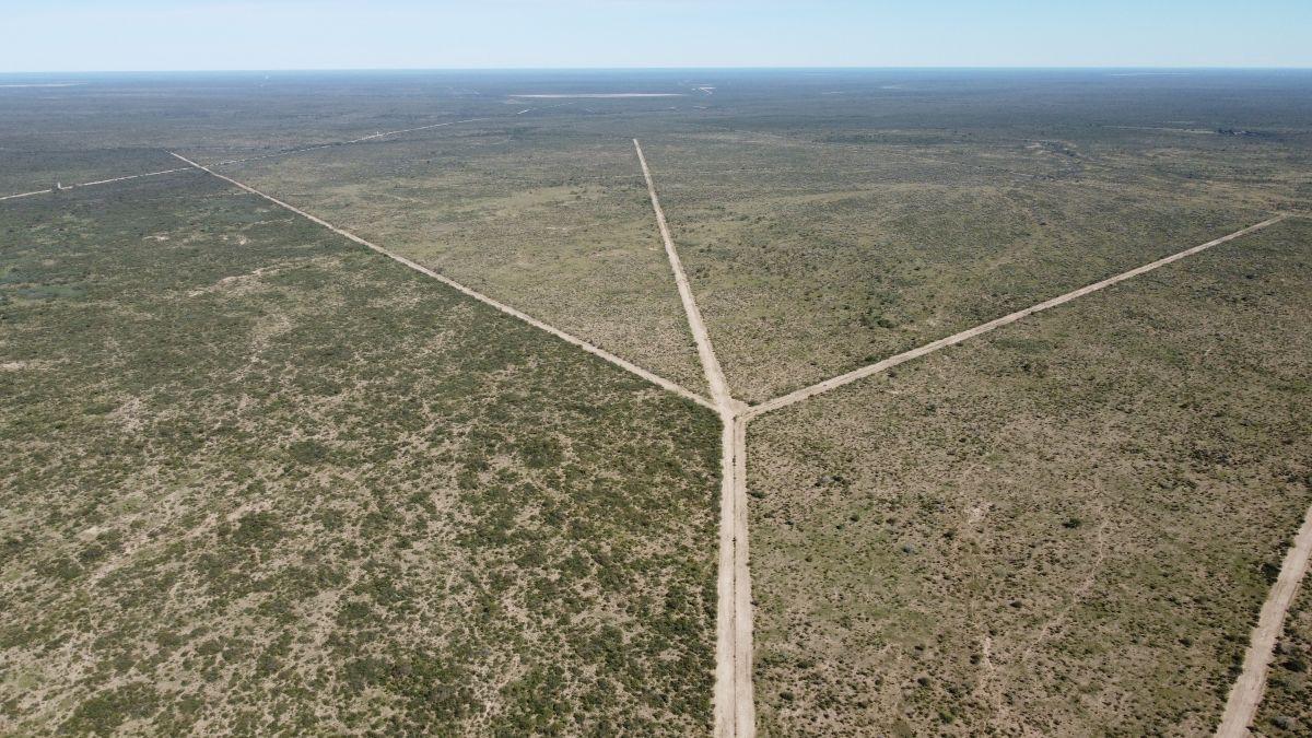 Foto de Campo 5.000 Has. Cuchillo Có, Provincia de La Pampa., imagen 3