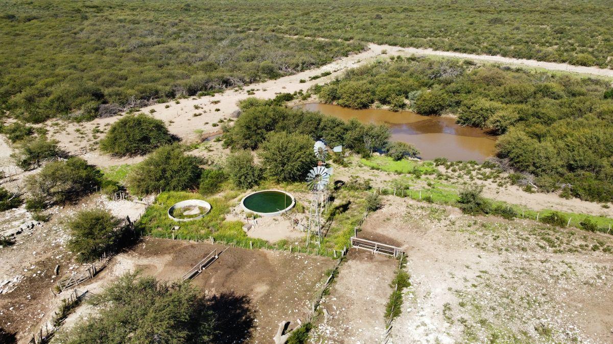 Foto de Campo 5.000 Has. Cuchillo Có, Provincia de La Pampa., imagen 5