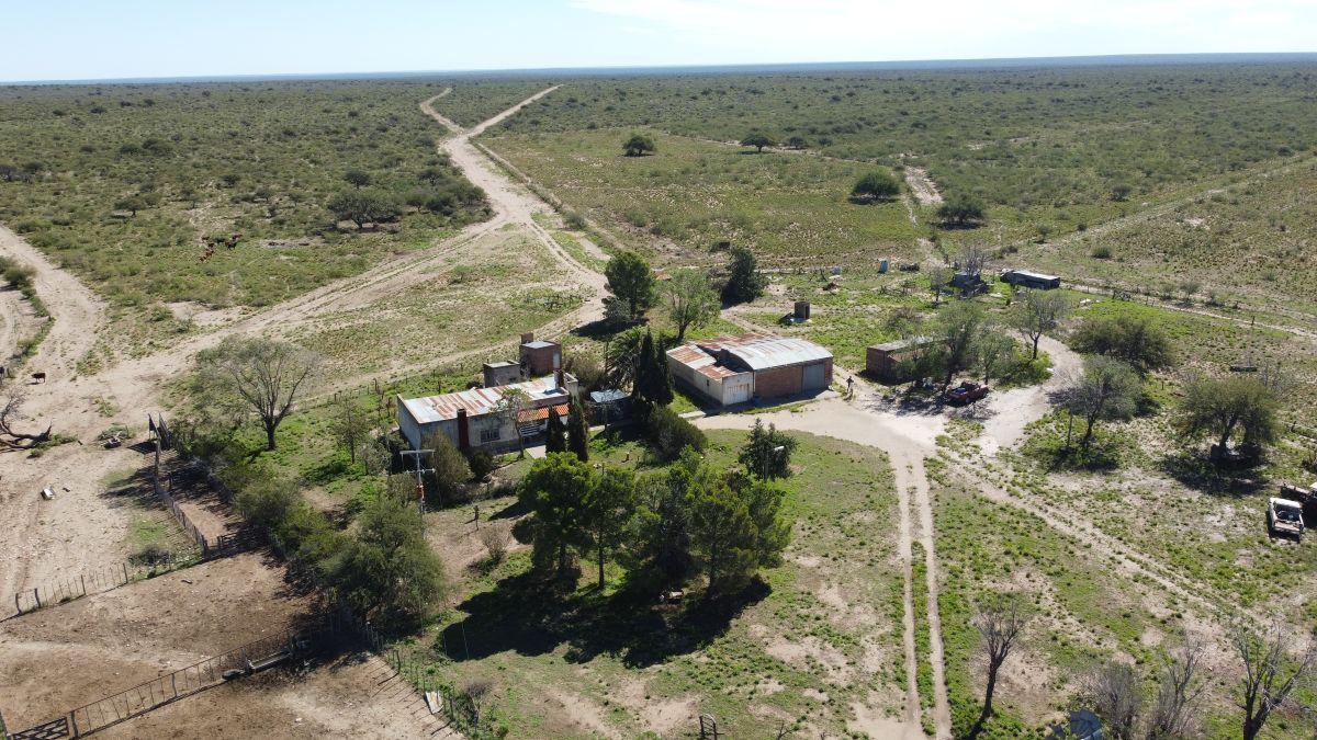 Foto de Campo 5.000 Has. Cuchillo Có, Provincia de La Pampa., imagen 1