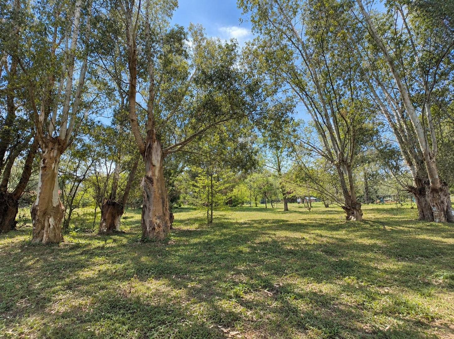 Foto de 3 Lotes en conjunto 1.895 m2, Calle 43 e/32, Barrio Poggio, General, imagen 4