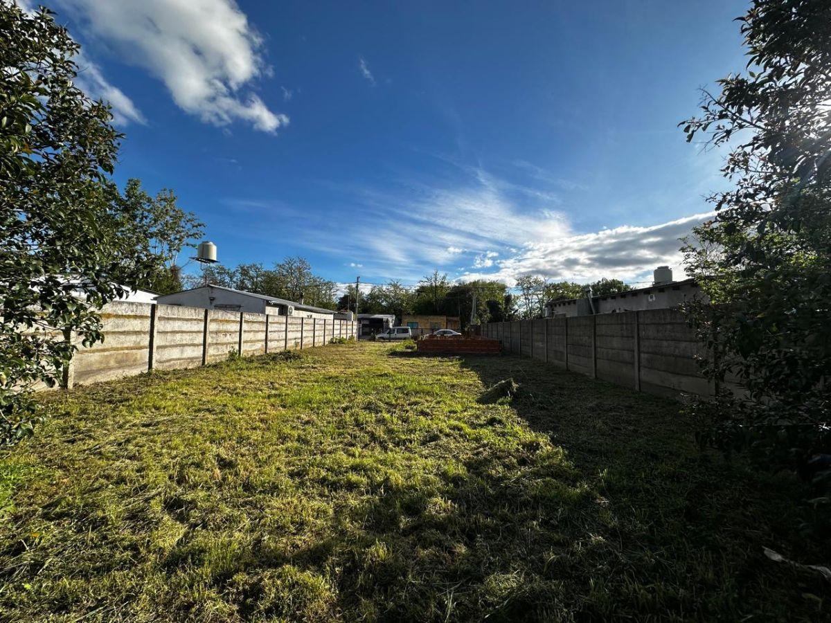 Foto de Lote de 456 m2. Sobre Calle 202. General Belgrano, imagen 4