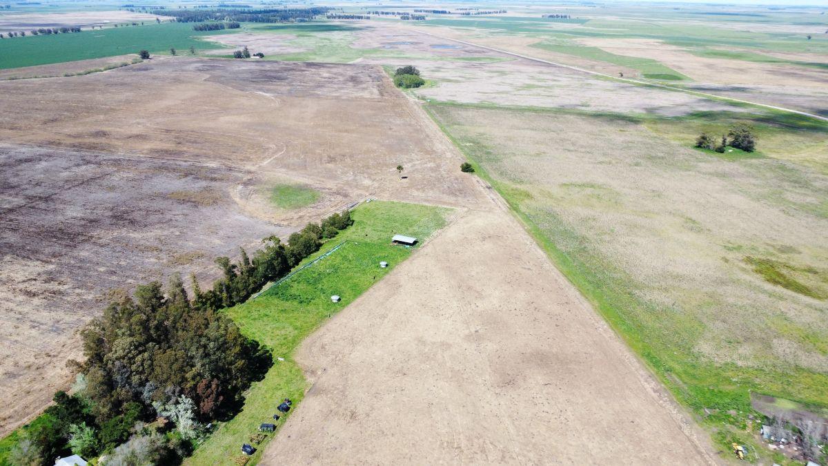Foto de Campo Agrícola 235 Has. Mechongué, Partido de Gral Alvarado, Provincia, imagen 2