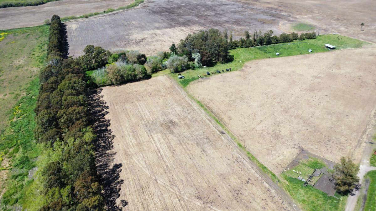 Foto de Campo Agrícola 235 Has. Mechongué, Partido de Gral Alvarado, Provincia, imagen 1