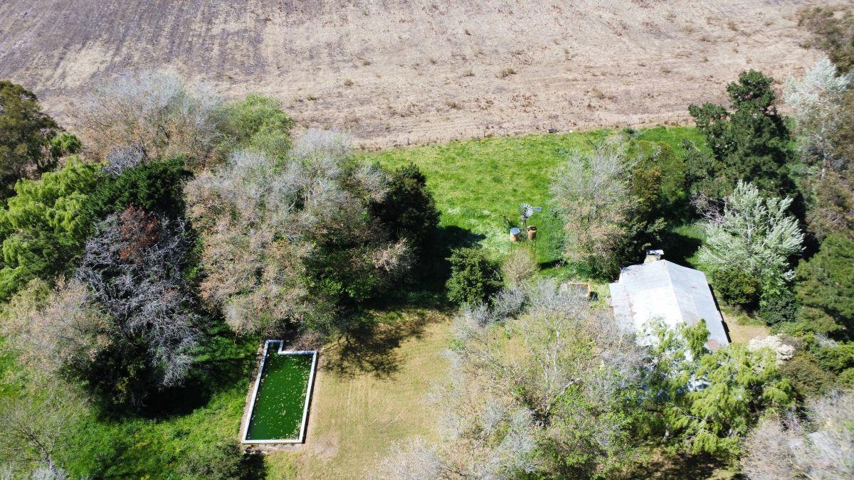 Foto de Campo Agrícola 235 Has. Mechongué, Partido de Gral Alvarado, Provincia, imagen 5