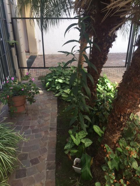 Departamento en Venta de 3 Ambientes en Pb San Fernando Vias/centro 5