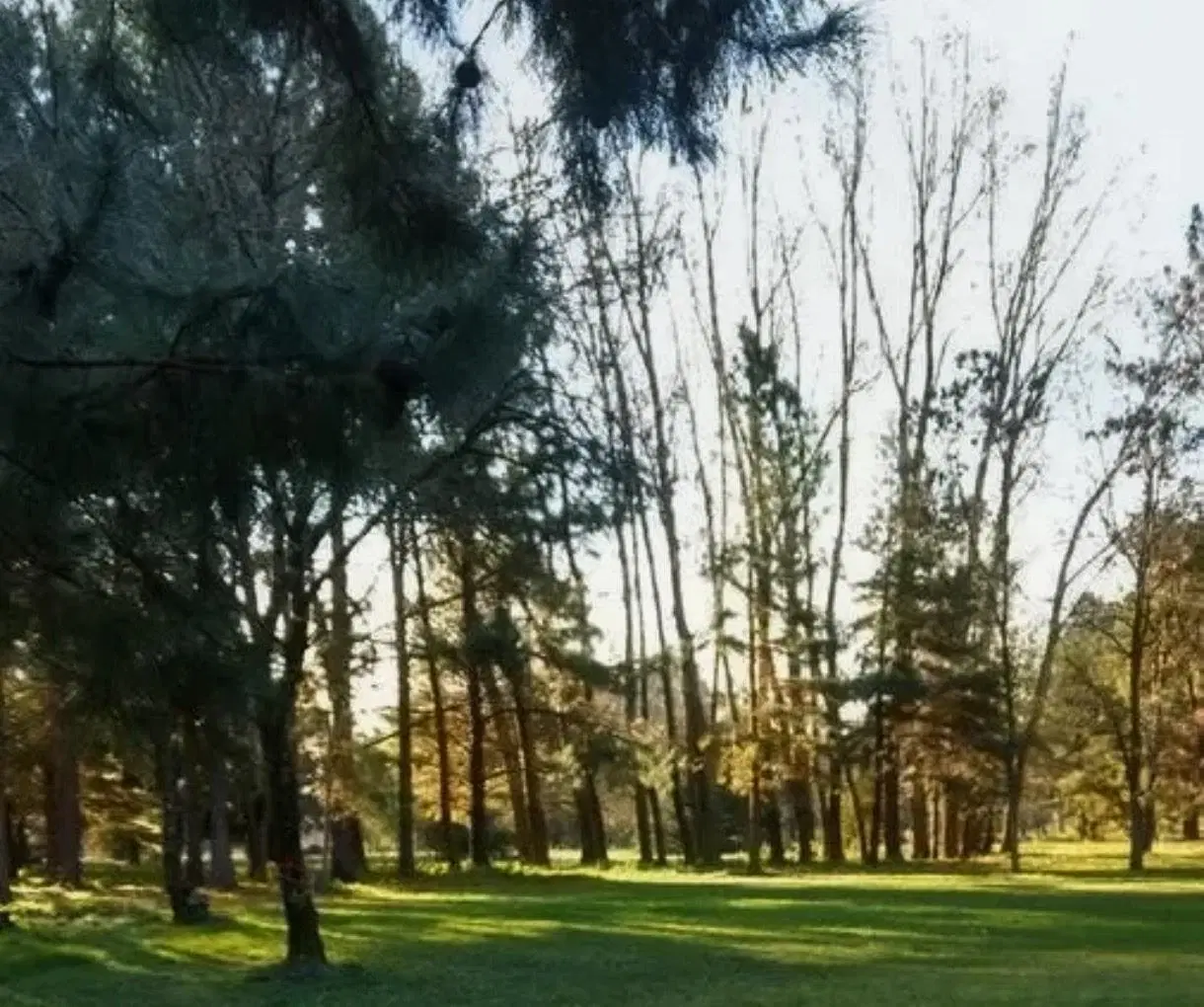 LOTE 1500M2, BARRIO AMARYLIS, EXTALTACIÓN DE LA CRUZ 5