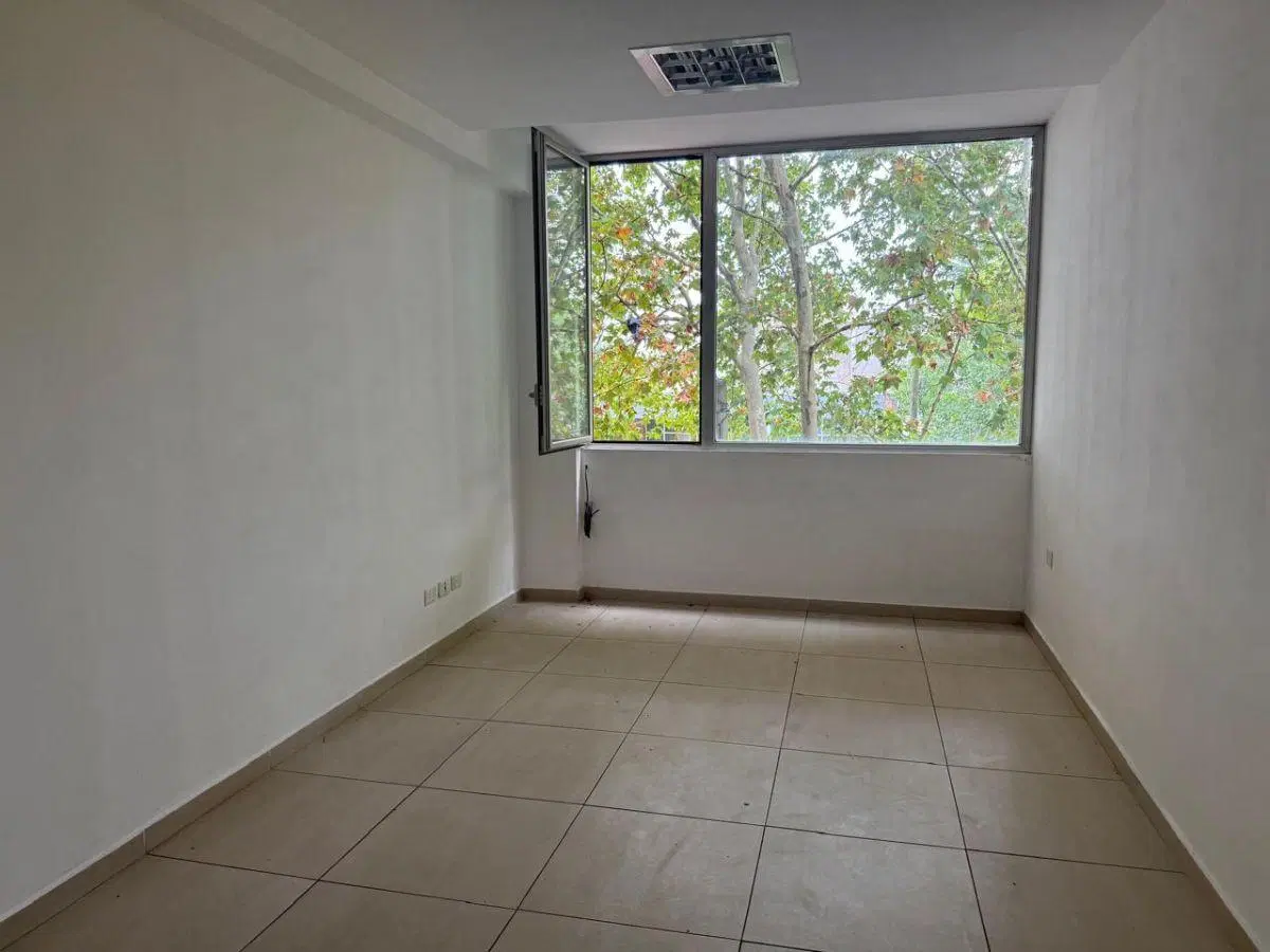 OFICINAS EN ALQUILER 5
